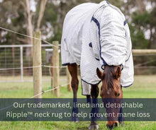 Load image into Gallery viewer, Bow rug - Orion Summer Rug