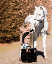 Load image into Gallery viewer, "Glam Box" Grooming Kit