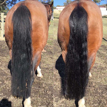 Load image into Gallery viewer, 2 in 1 Detangle & Shine Spray - Original Hairy Pony