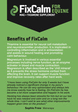 Load image into Gallery viewer, Fixcalm