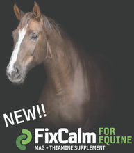 Load image into Gallery viewer, Fixcalm