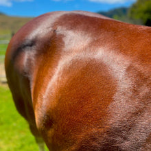 Load image into Gallery viewer, Echo Glow Shine Spray