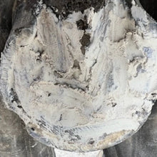 Load image into Gallery viewer, echo Hoof Helper Clay