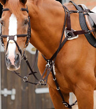 Load image into Gallery viewer, Invorio 5 Point Breatplaste