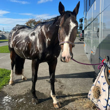 Load image into Gallery viewer, echo Strawberry Shampoo