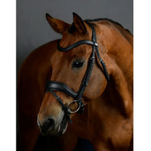 Load image into Gallery viewer, Collegiate Comfitec Opulux Padded Dressage Bridle
