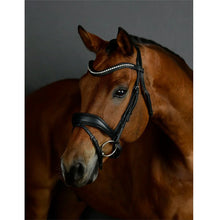 Load image into Gallery viewer, Collegiate Comfitec Opulux Padded Dressage Bridle