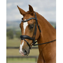 Load image into Gallery viewer, Collegiate Comfitec Opulux Padded Dressage Bridle