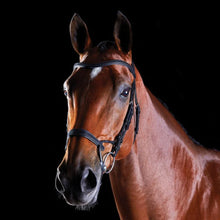 Load image into Gallery viewer, Collegiate ComFiTec Training Bridle