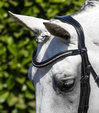Load image into Gallery viewer, Abriano Anatomic Double Bridle