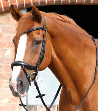 Load image into Gallery viewer, Savuto Anatomic Bridle with Crank Noseband & Flash
