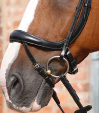 Load image into Gallery viewer, Savuto Anatomic Bridle with Crank Noseband & Flash