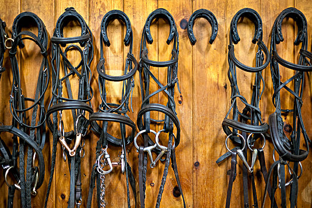 BITS, Bridles & Accessories
