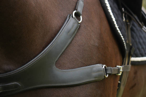 Martingales