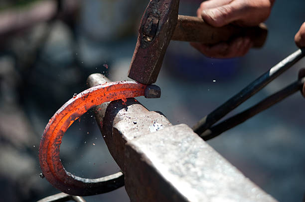 VET & Farrier products
