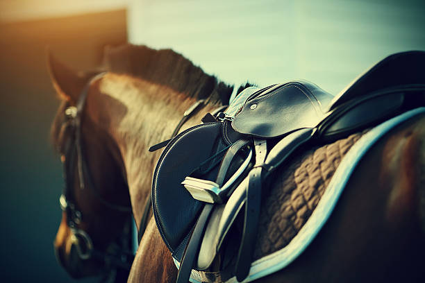 SADDLES & Accessories