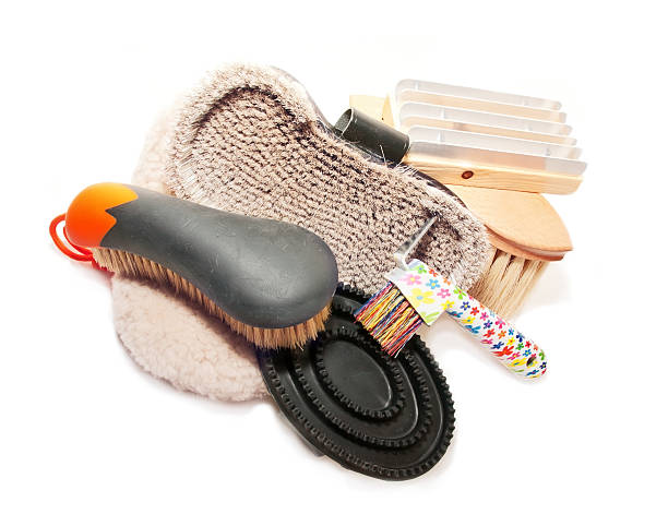 GROOMING, Vet & Farrier