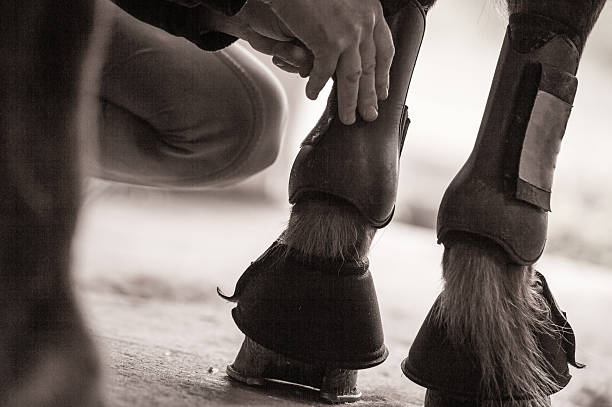 HORSE Boots