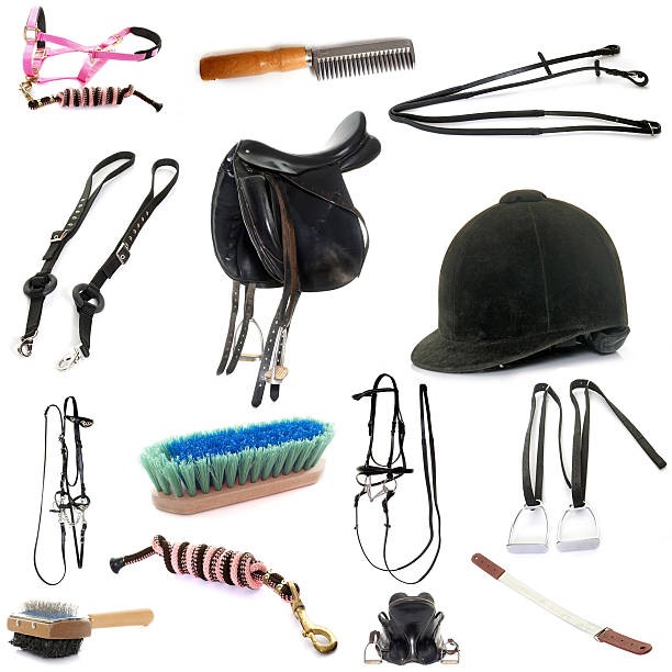 SHOW ACCESSORIES - Show Prep & Turnout