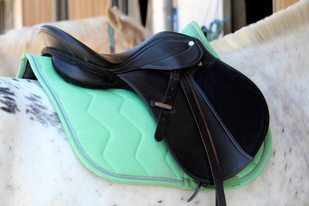 SADDLE Blankets & Gel Pads & Raisers