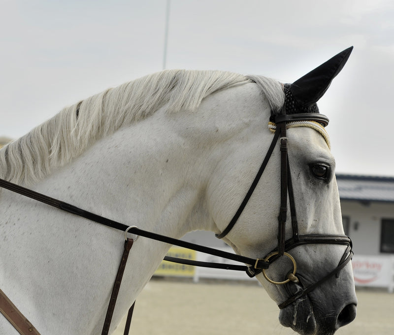 Reins