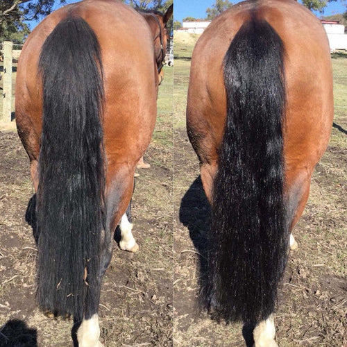 2 in 1 Detangle & Shine Spray - Original Hairy Pony