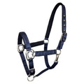 gloria Halter