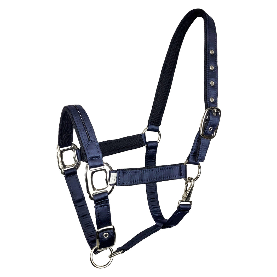 gloria Halter