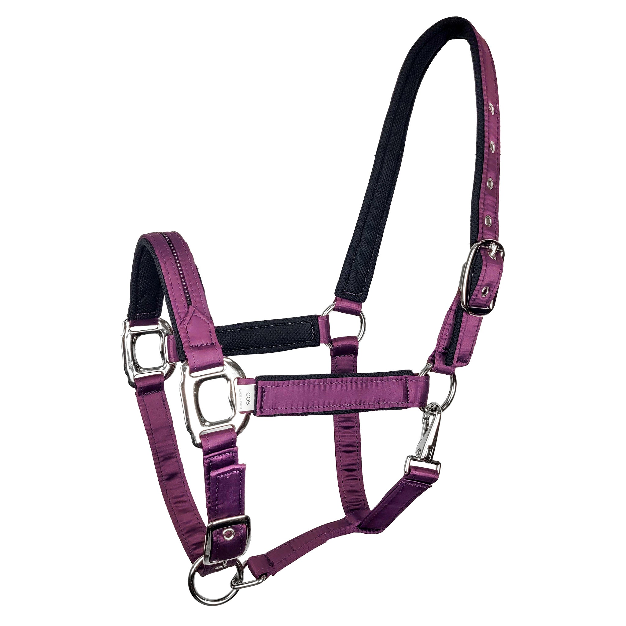 gloria Halter