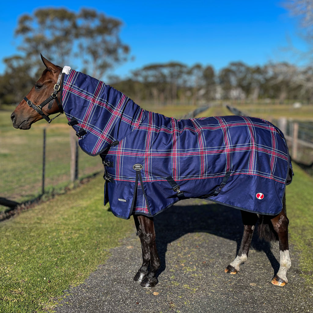 Zilco Crusader 200 Combo Rugs