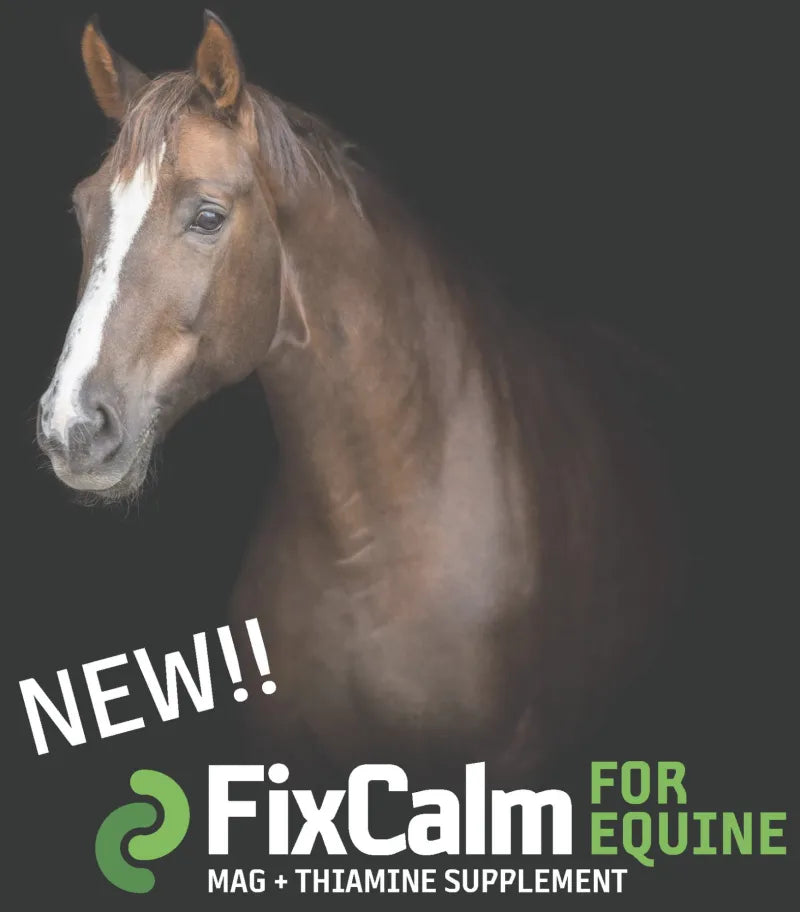 Fixcalm