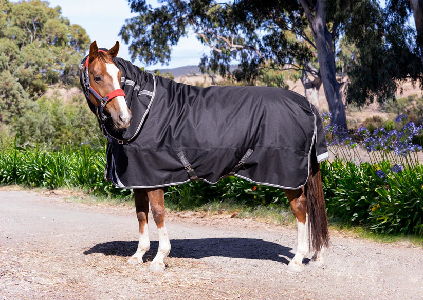BOW HORSE  Atlas Turnout Rug with Detachable Neck  - BLACK
