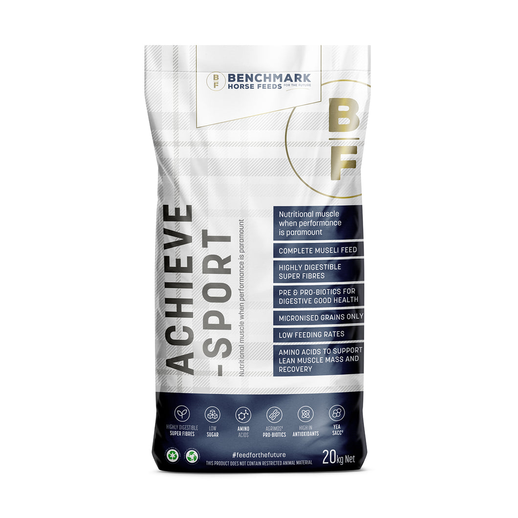 Benchmark Achieve -Sport -