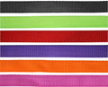 Flair Heavy Duty Nylon Web Halter
