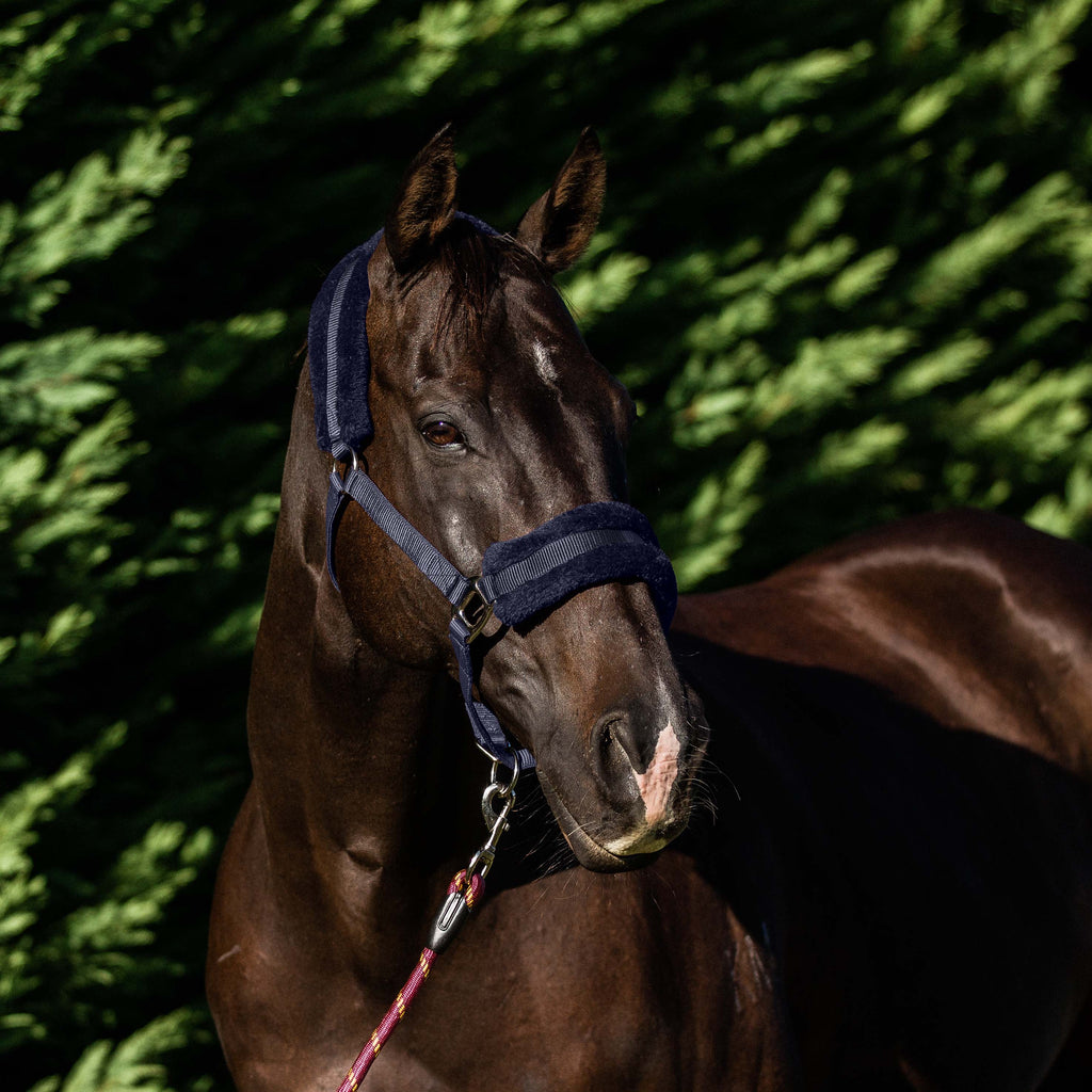 Flair Plush Halter