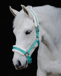 Flair Plush Halters