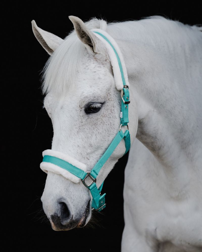 Flair Plush Halters