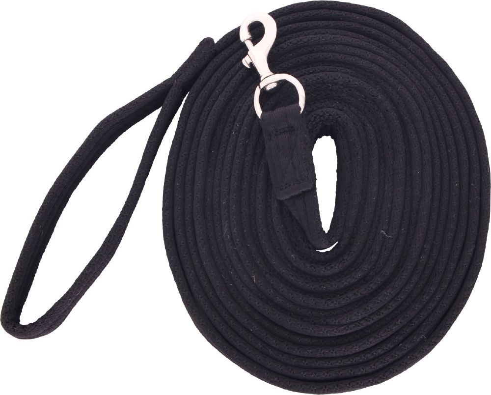 Flair Soft Webbing Lunge Leads