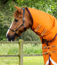 Load image into Gallery viewer, Premier Equine Buster Storm 200g Combo Turnout Rug
