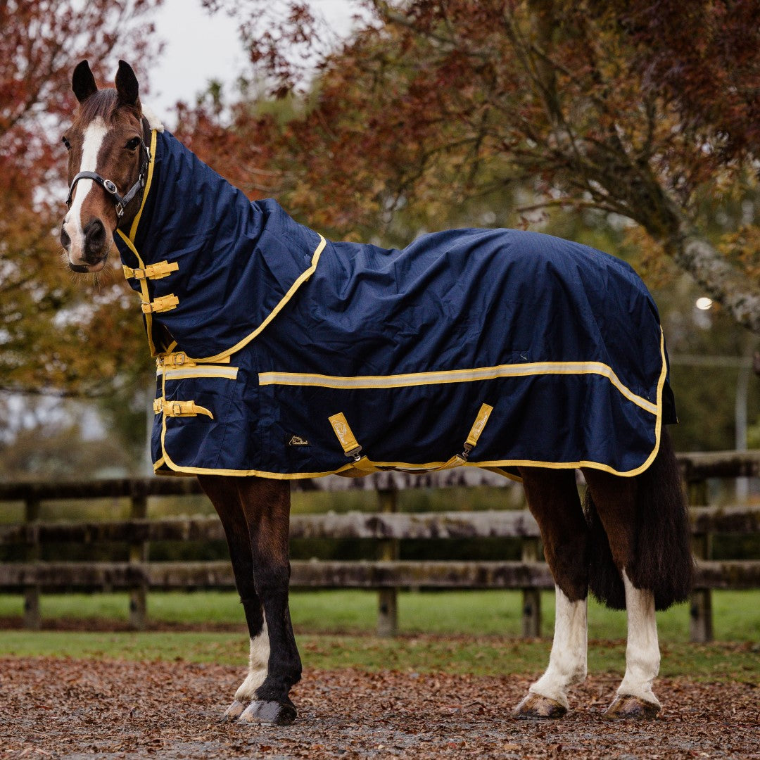 Cavallino Northampton Detach A Neck