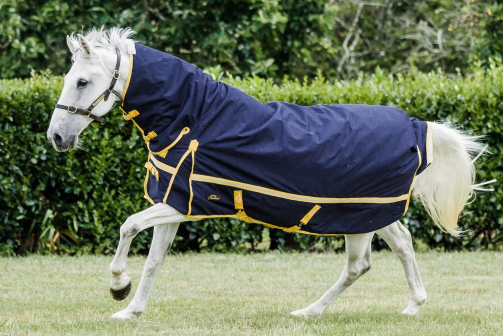 Cavallino Northampton Combo Navy 220gm - LAST ONE!