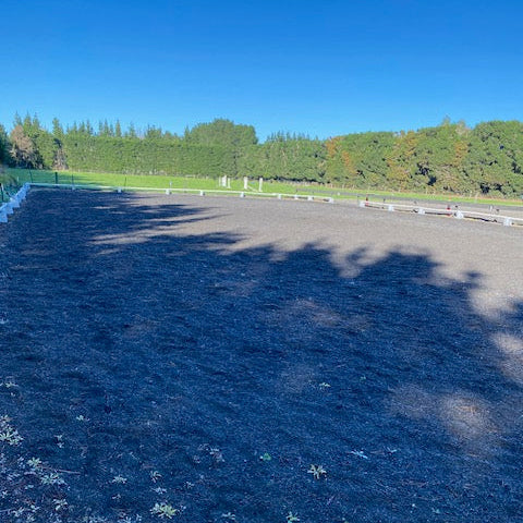 Dressage Arena Hire /hour