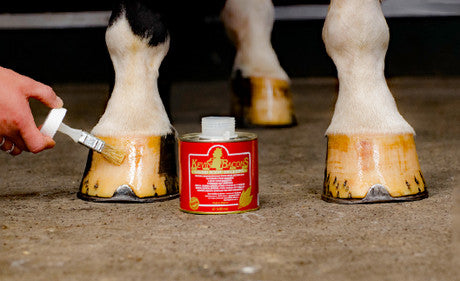 Kevin Bacon Hoof Oil 500ml