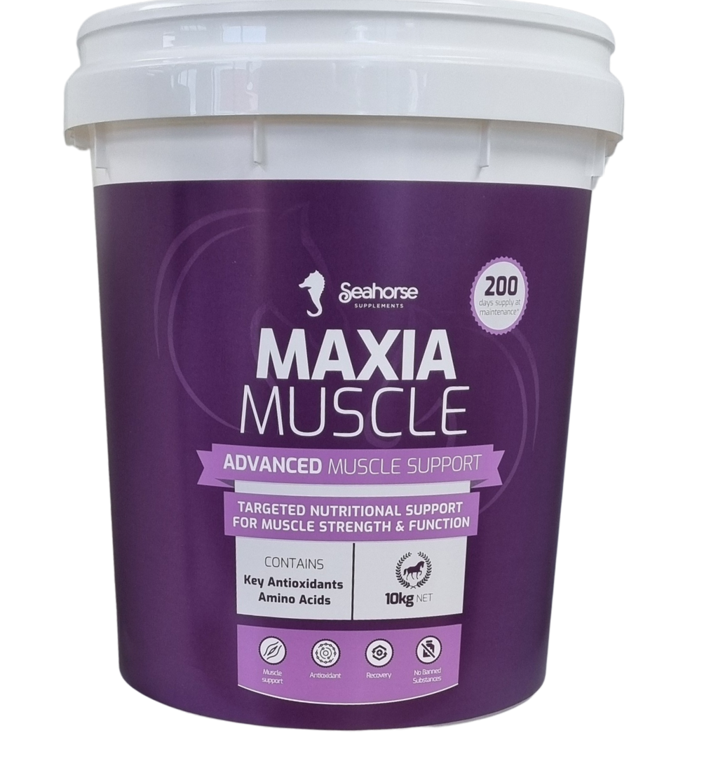 Maxia Muscle
