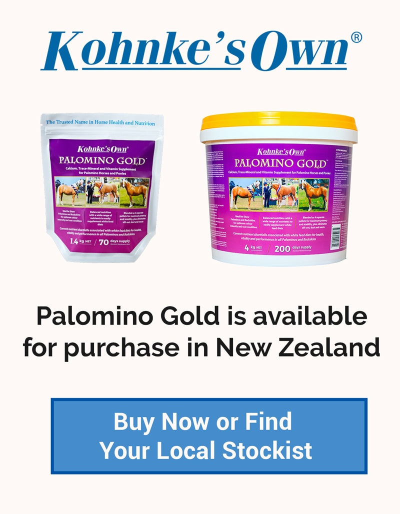 Palomino Gold
