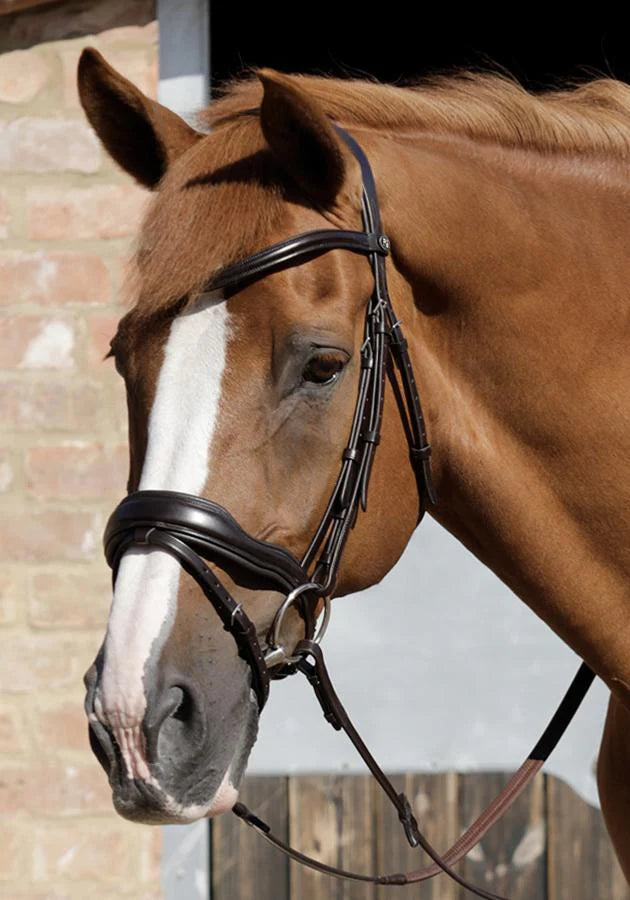 Premier Equine Rizzo Anatomic Snaffle Bridle with Flash