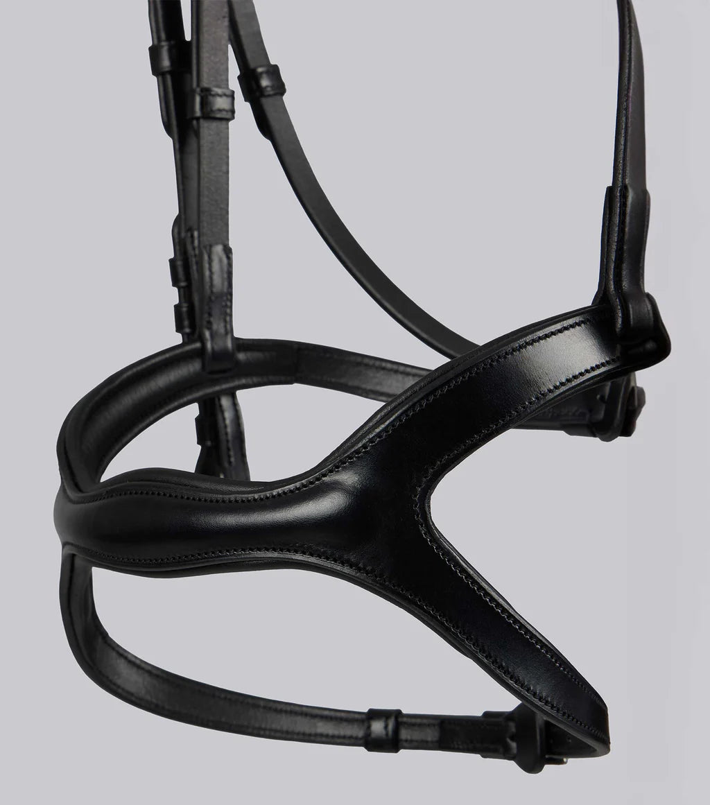 San Paolo Anatomical Bridle