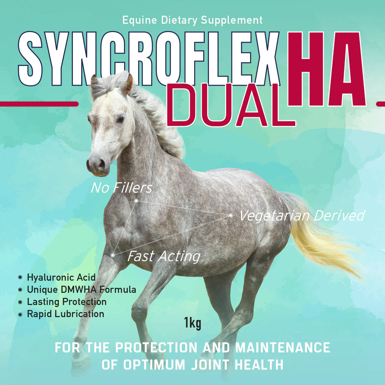 SYNCROFLEX DUAL HA