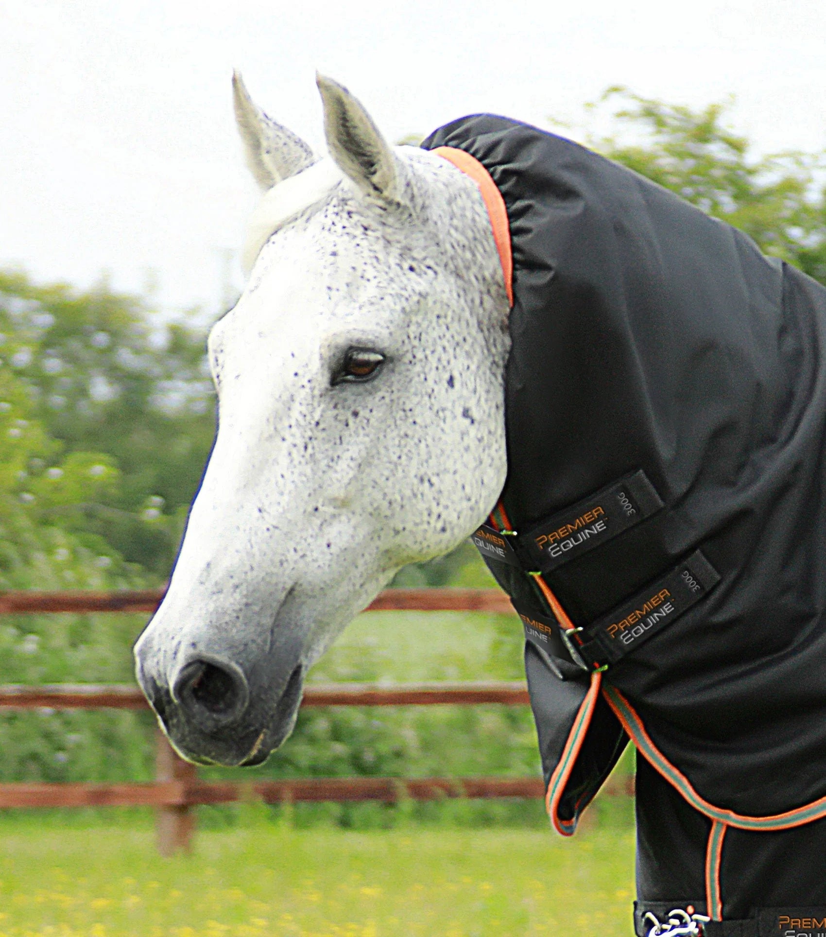 Titan 300g Turnout Rug with Snug-Fit Neck
