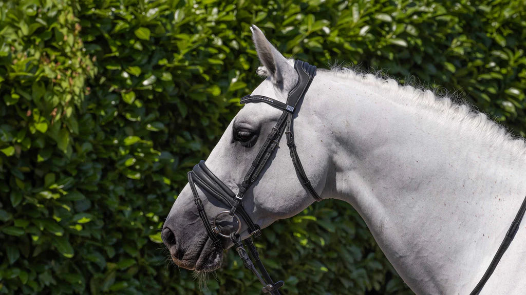 Veneto Anatomical Snaffle Bridle Black